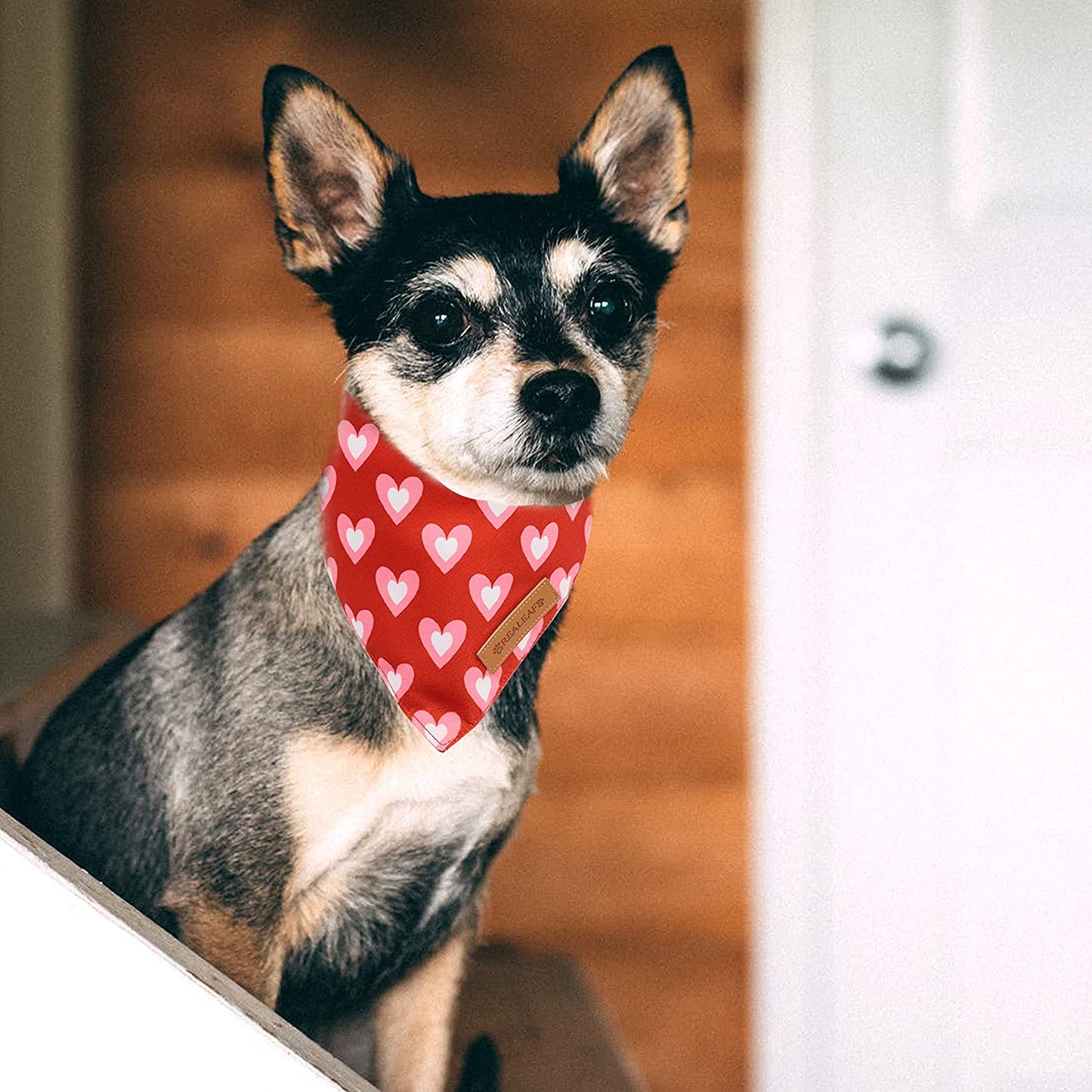 Holiday Dog Bandanas 2 Pack, Triangle Reversible Valentine'S Day Pet Scarf for Boy and Girl, Premium Durable Fabric, Bandana for Medium and Large Dogs (Large)